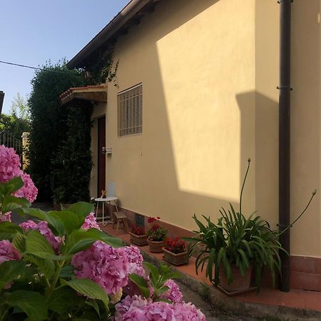 Casina Di Nina Daire Livorno Dış mekan fotoğraf